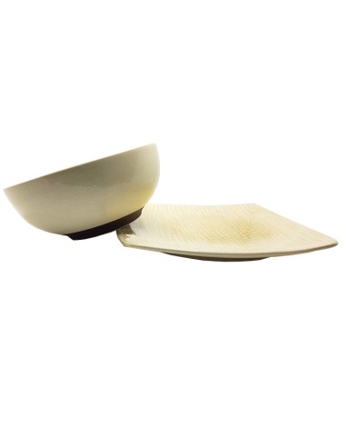 Beige ceramic dinnerware set - elegant bowl & square plate