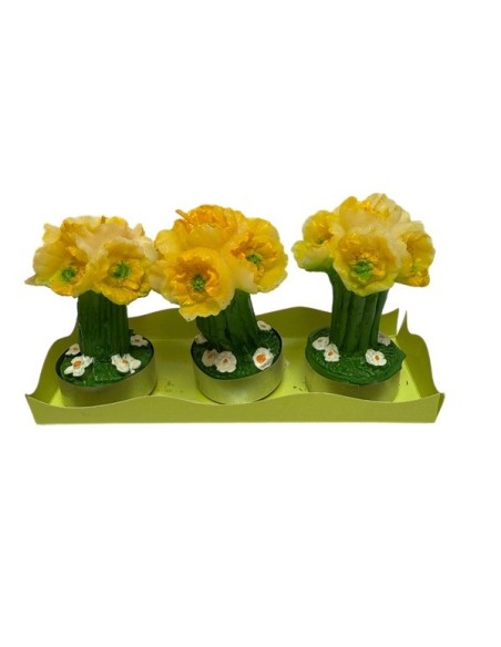Bougie chauffe-plat fleurs Jonquilles - Lot de 3 pièces